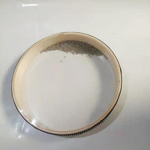 Wave bead ozean - wave,